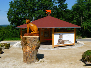 Der Luchs-Infopoint bei der Burg Wildenstein  Luchs-Initiative Baden-Wrttemberg e. V.