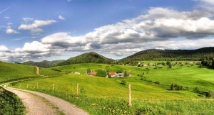 Typische Landschaft im Naturpark Sdschwarzwald (Foto: VDN-Fotoportal/Christoph Wasmer)