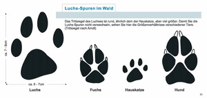 Spurenvergleich - (Quelle: Luchs-Flyer der Luchs-Initiative)