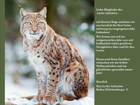 Weihnachtskarte 2021 der Luchs-Initiative Baden-Wrttemberg e. V., Foto: Stefan Betz