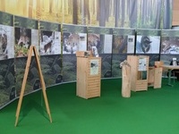 Luchs-Infostand auf der BADEN-Messe 2015