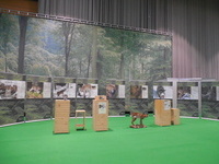 Foto Stand Luchs-Initiative auf Baden Messe